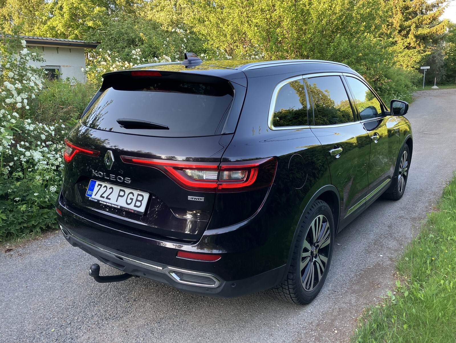 Renault Koleos 2019, photo 4/10