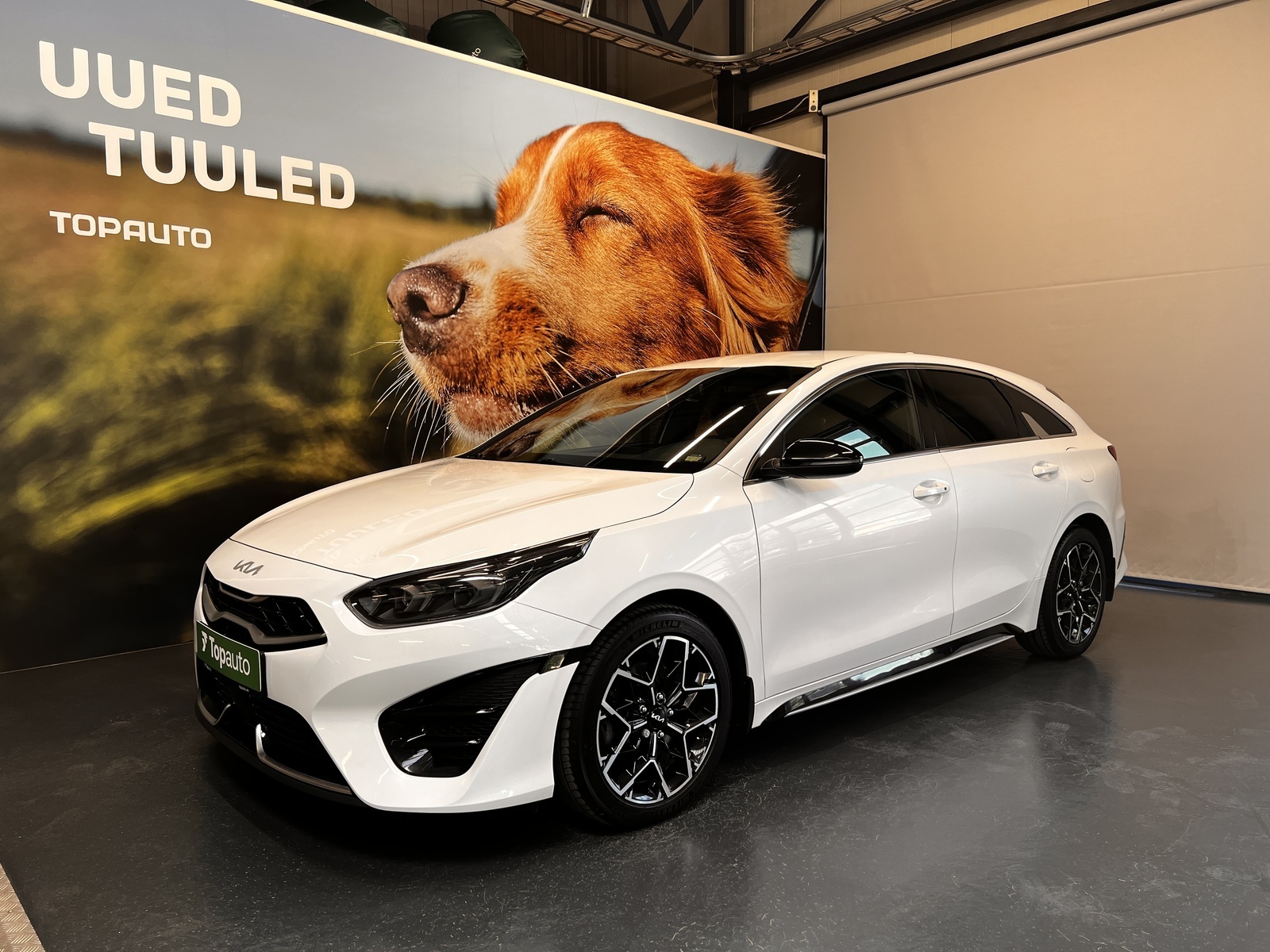Kia pro_cee'd GT-Line 1.5 117kW