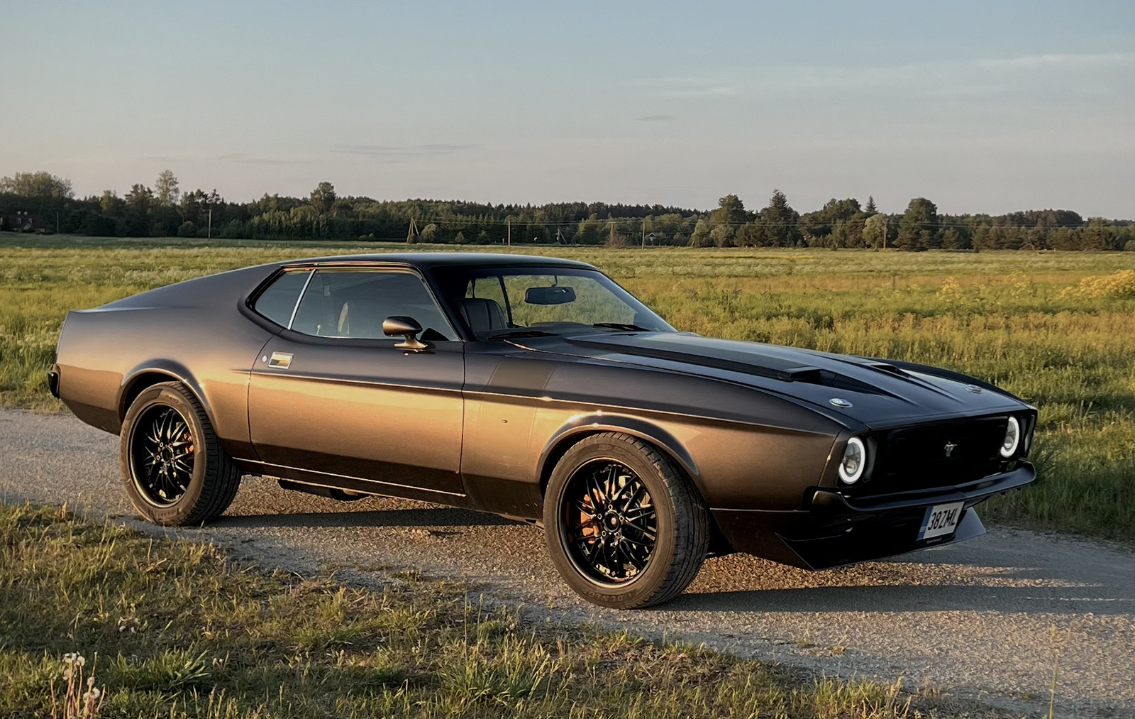 Ford Mustang 1973, photo 2/12