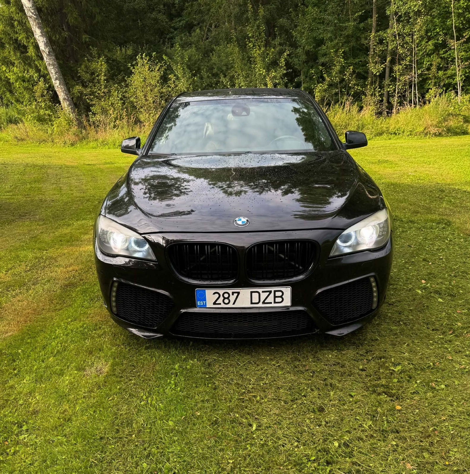 BMW 740 F01 Individual Mansory+ 3.0 225kW
