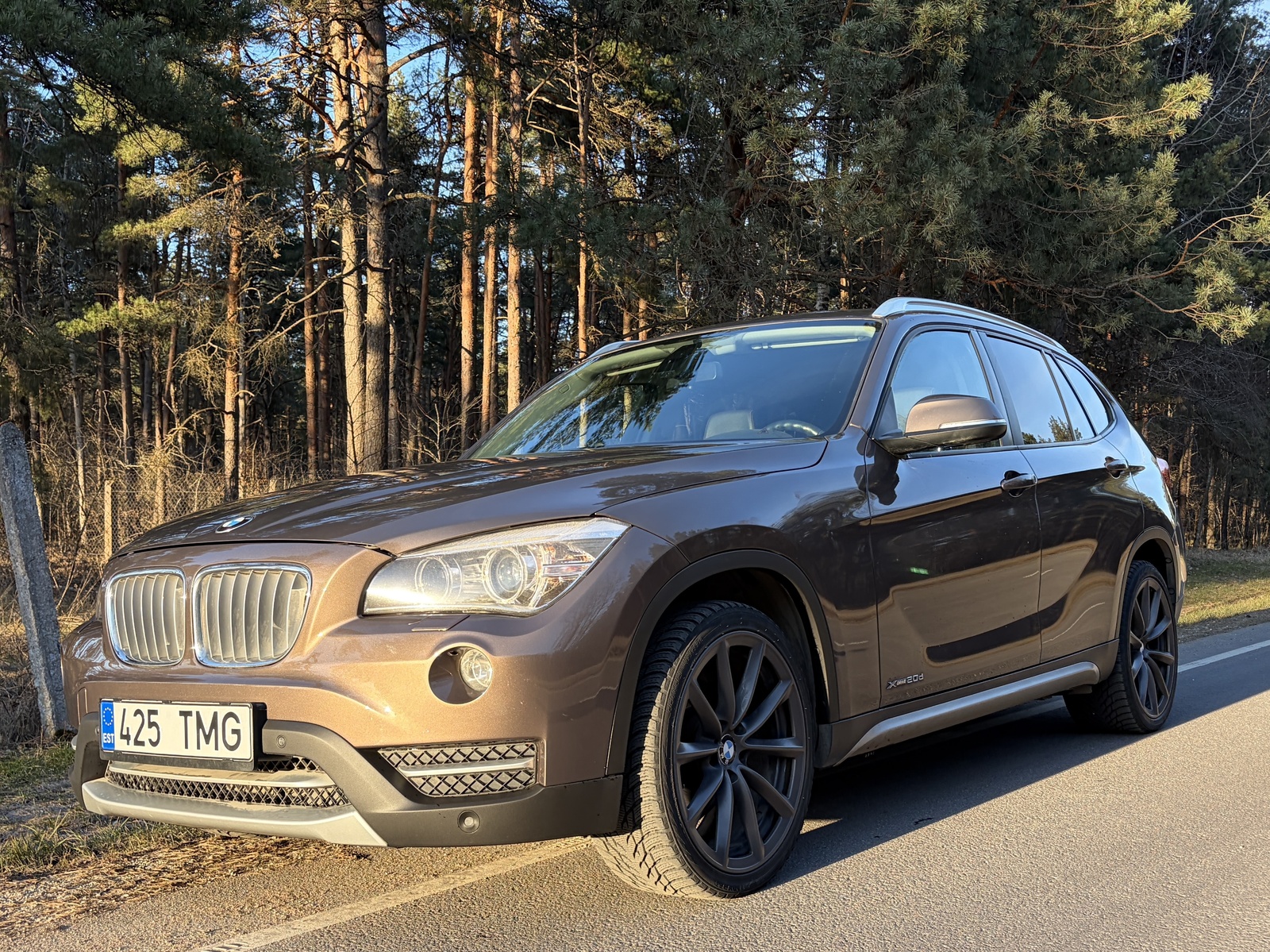 BMW X1 xLine 2.0 135kW 2012, photo 2/15