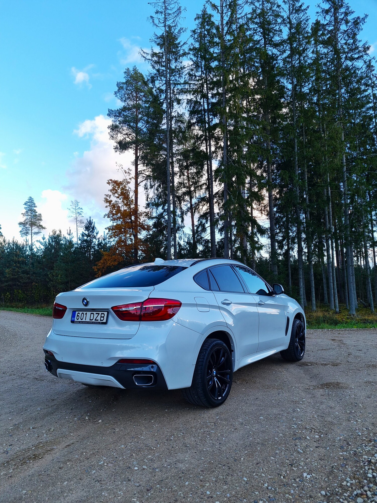BMW X6 2016, photo 5/23