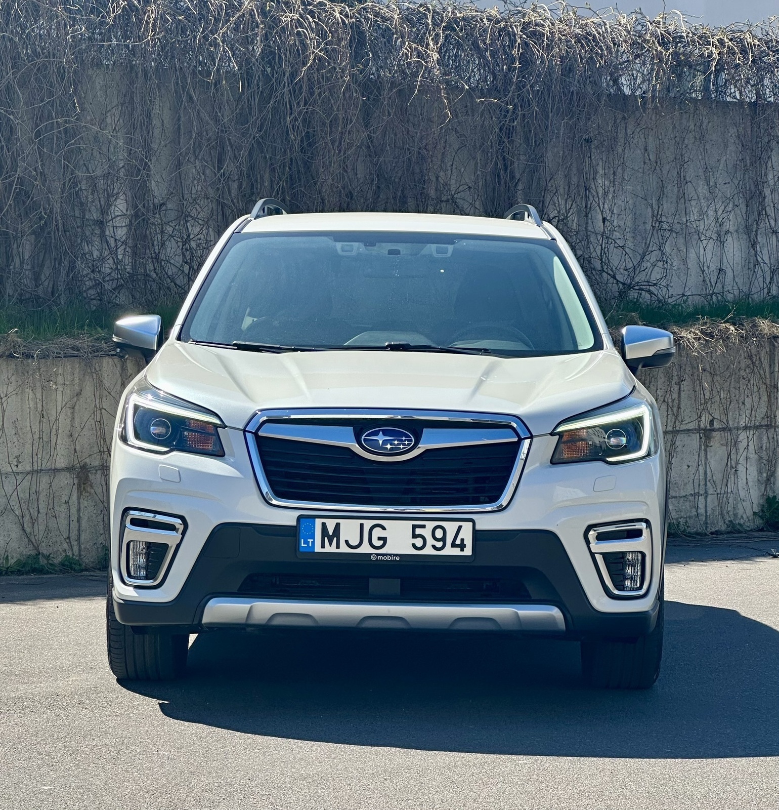 Subaru Forester 2022, photo 2/16