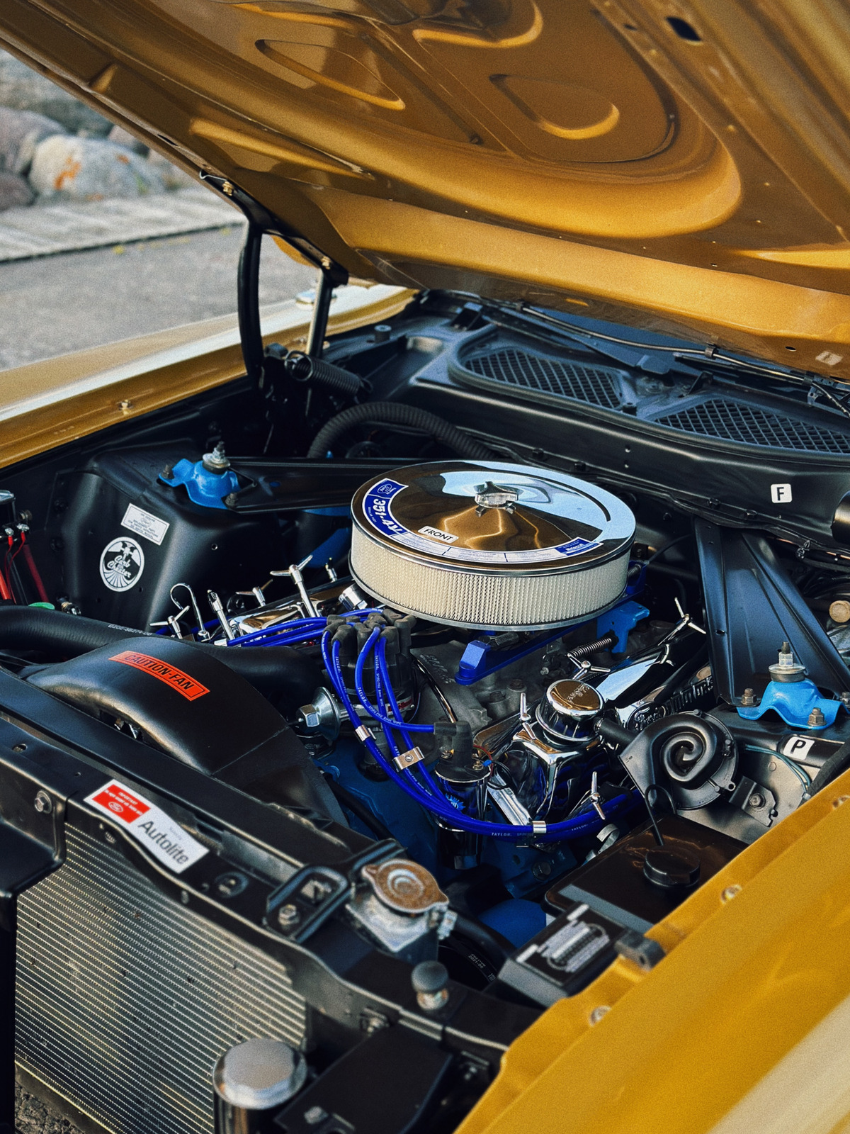 Ford Mustang 1973, photo 4/19