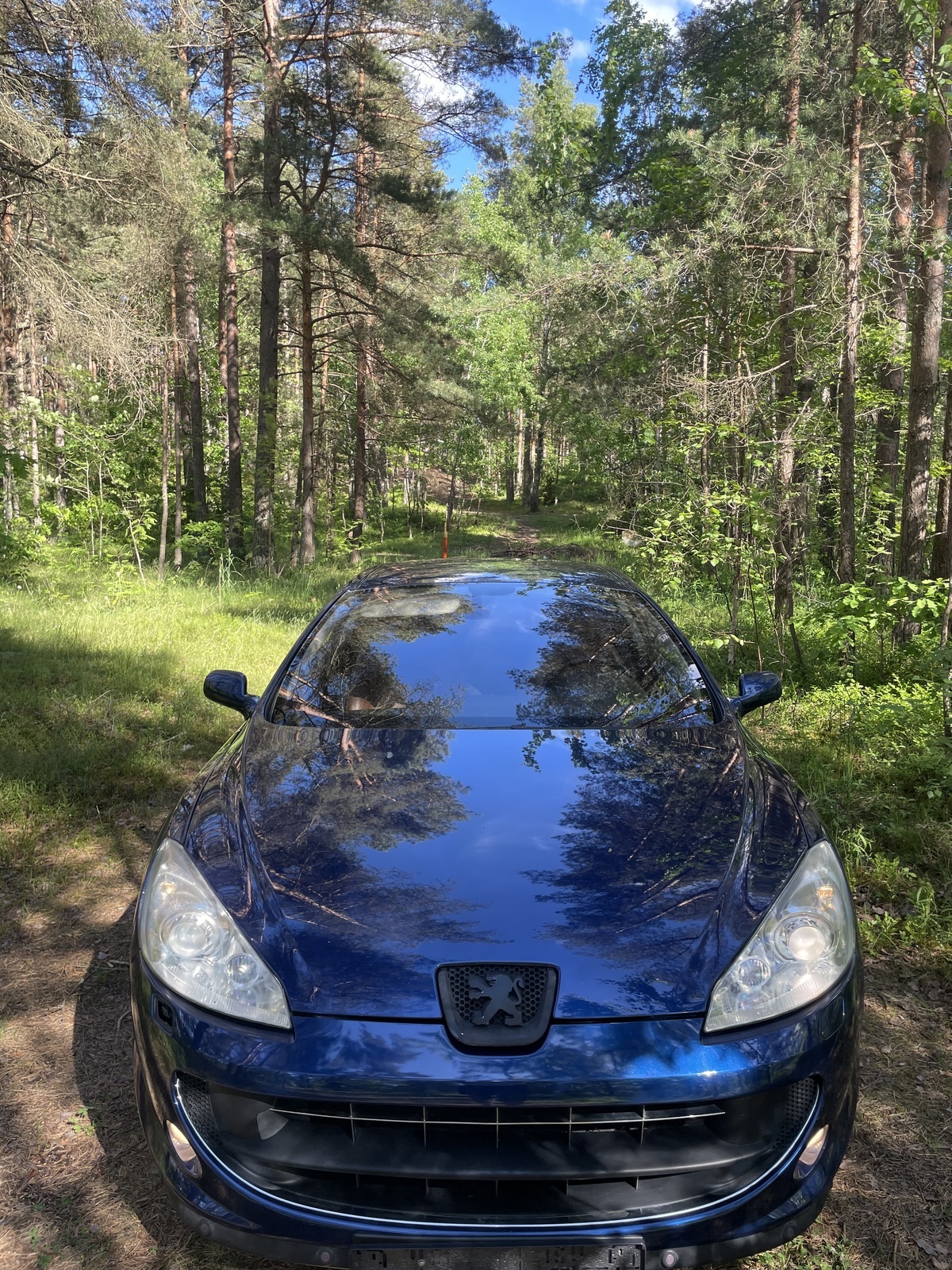 Peugeot 407 2007, photo 6/29