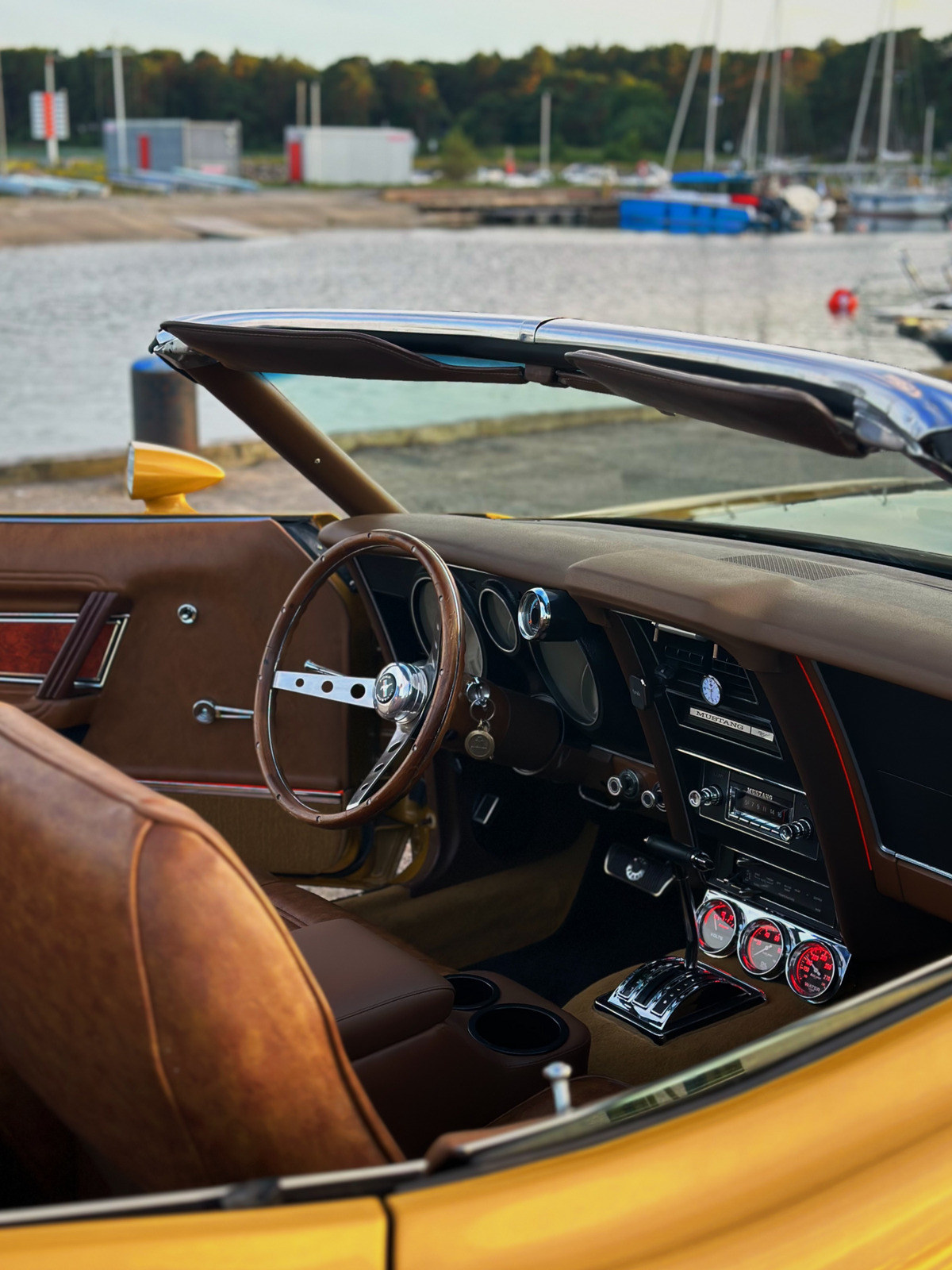 Ford Mustang 1973, photo 7/19