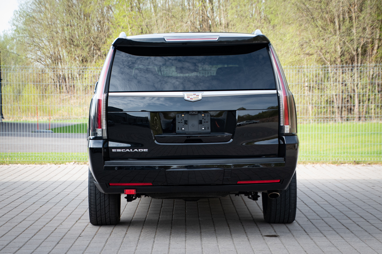 Cadillac Escalade 2018, photo 5/15