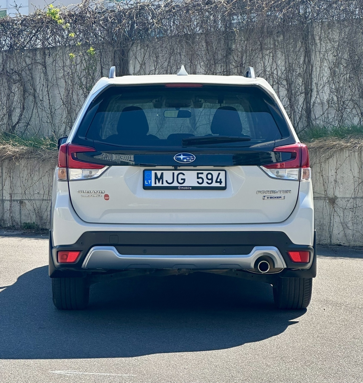 Subaru Forester 2022, photo 7/16
