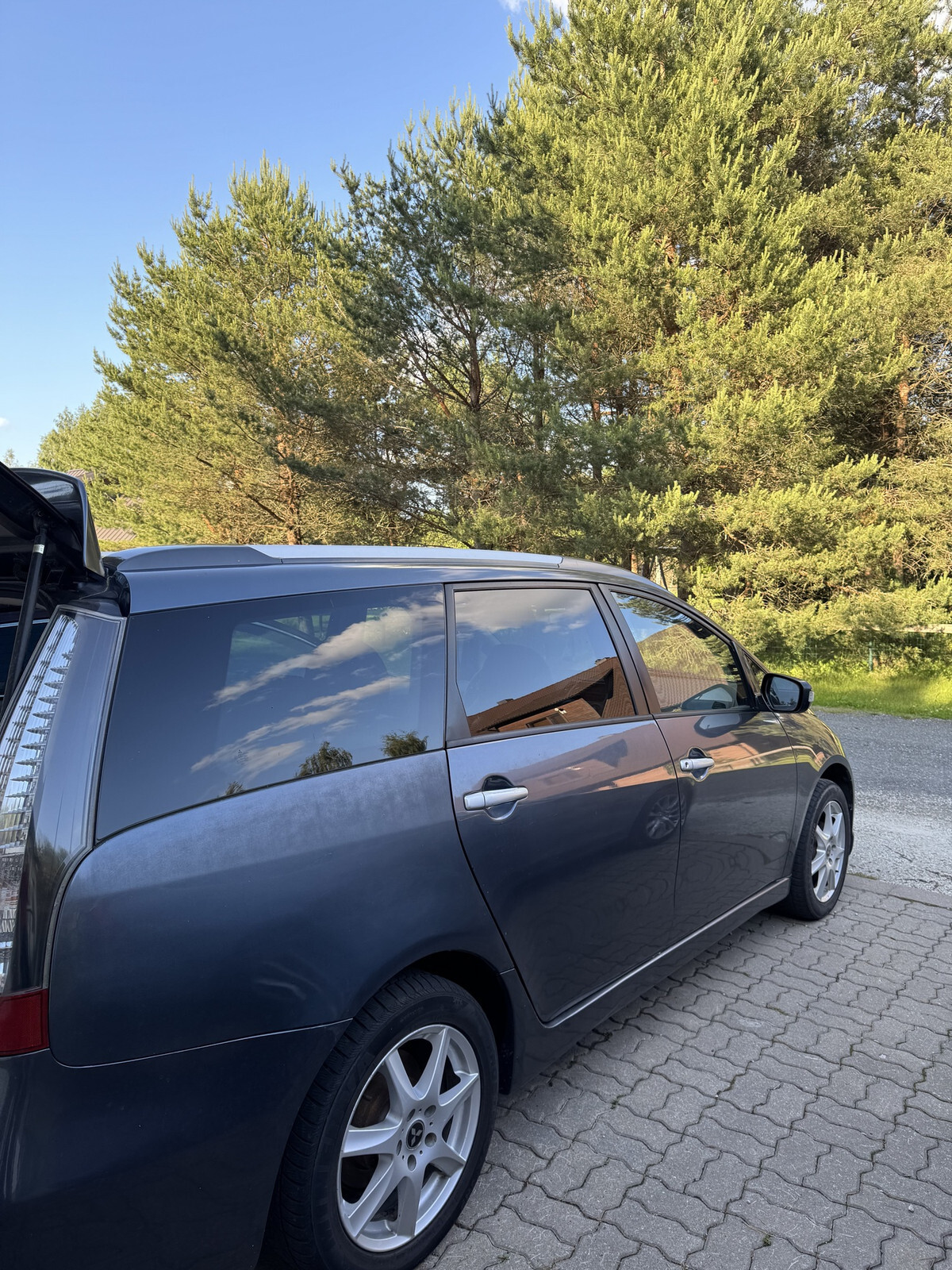 Mitsubishi Grandis 2007, photo 2/14