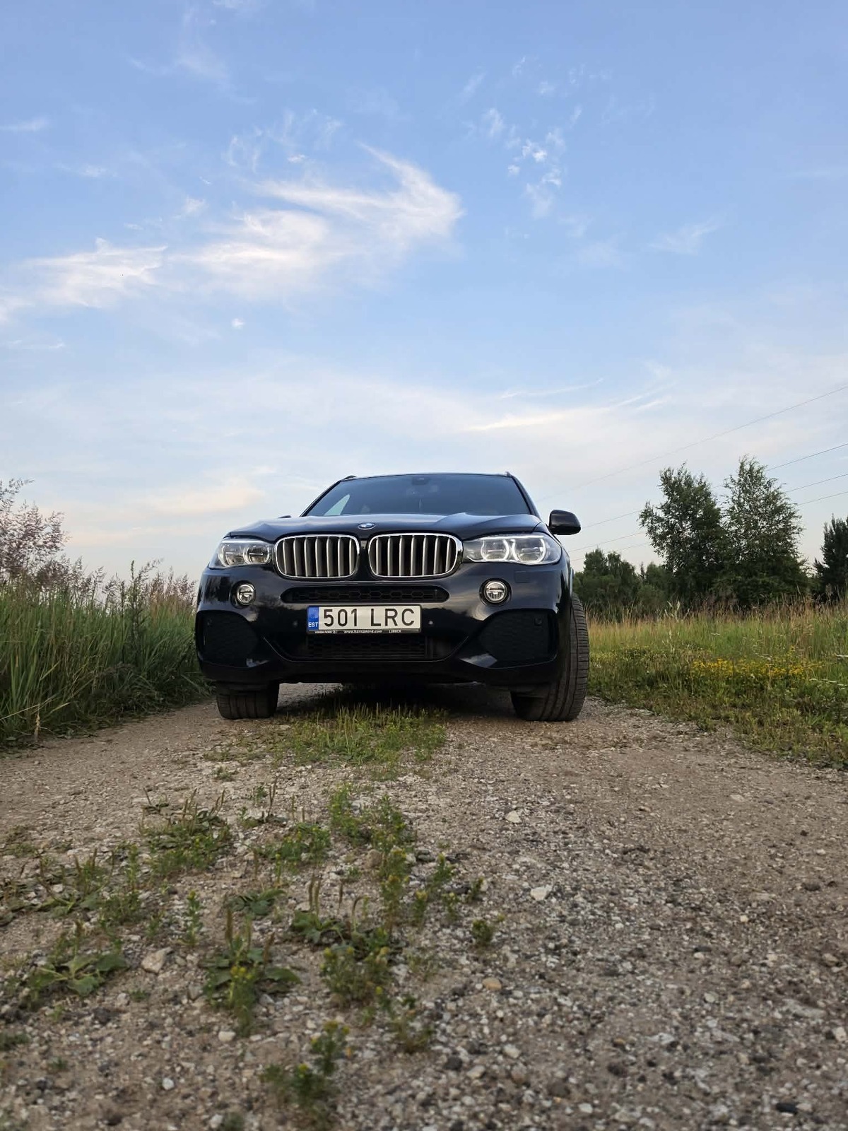 BMW X5 2017, photo 2/17