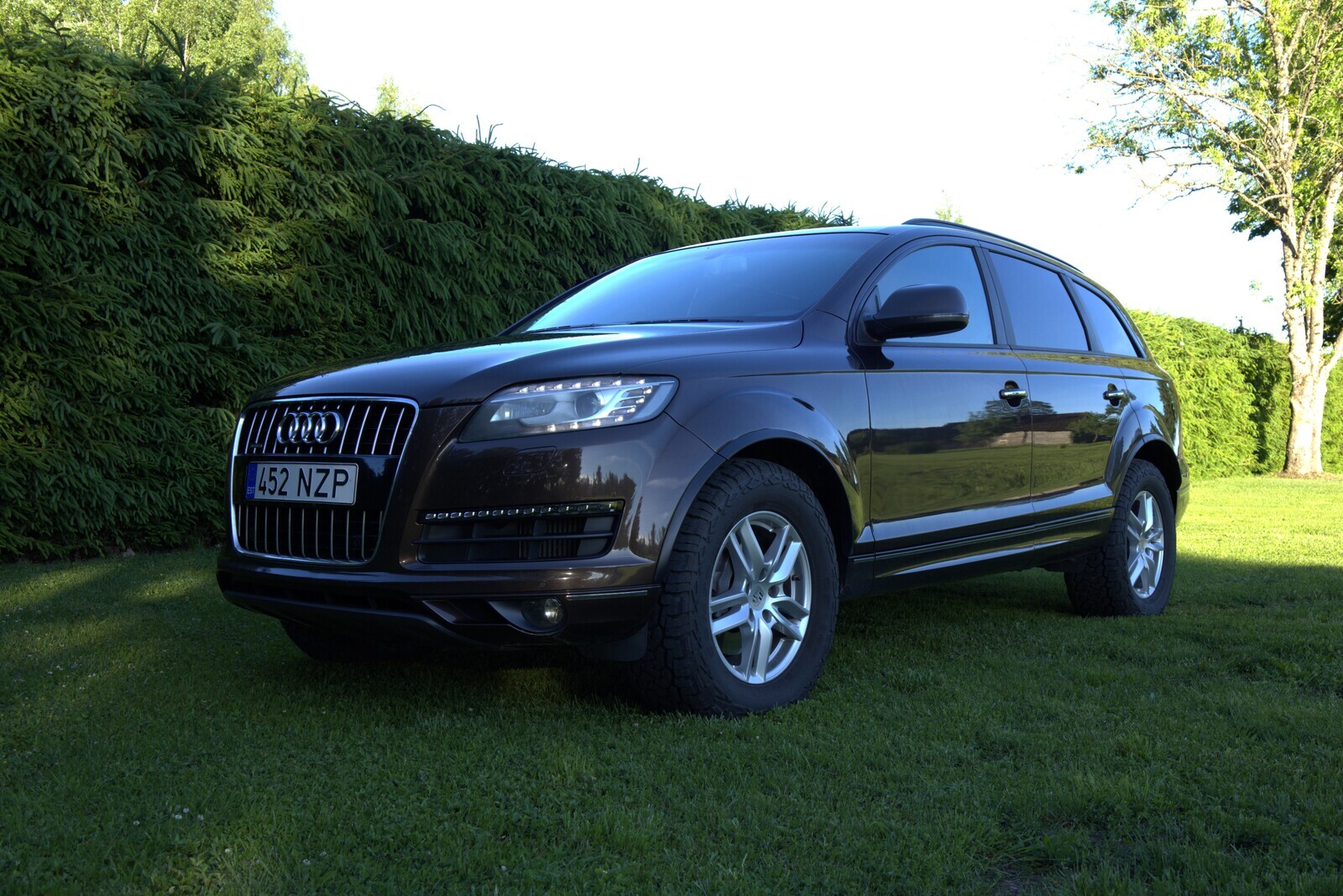 Audi Q7 2010, photo 2/10