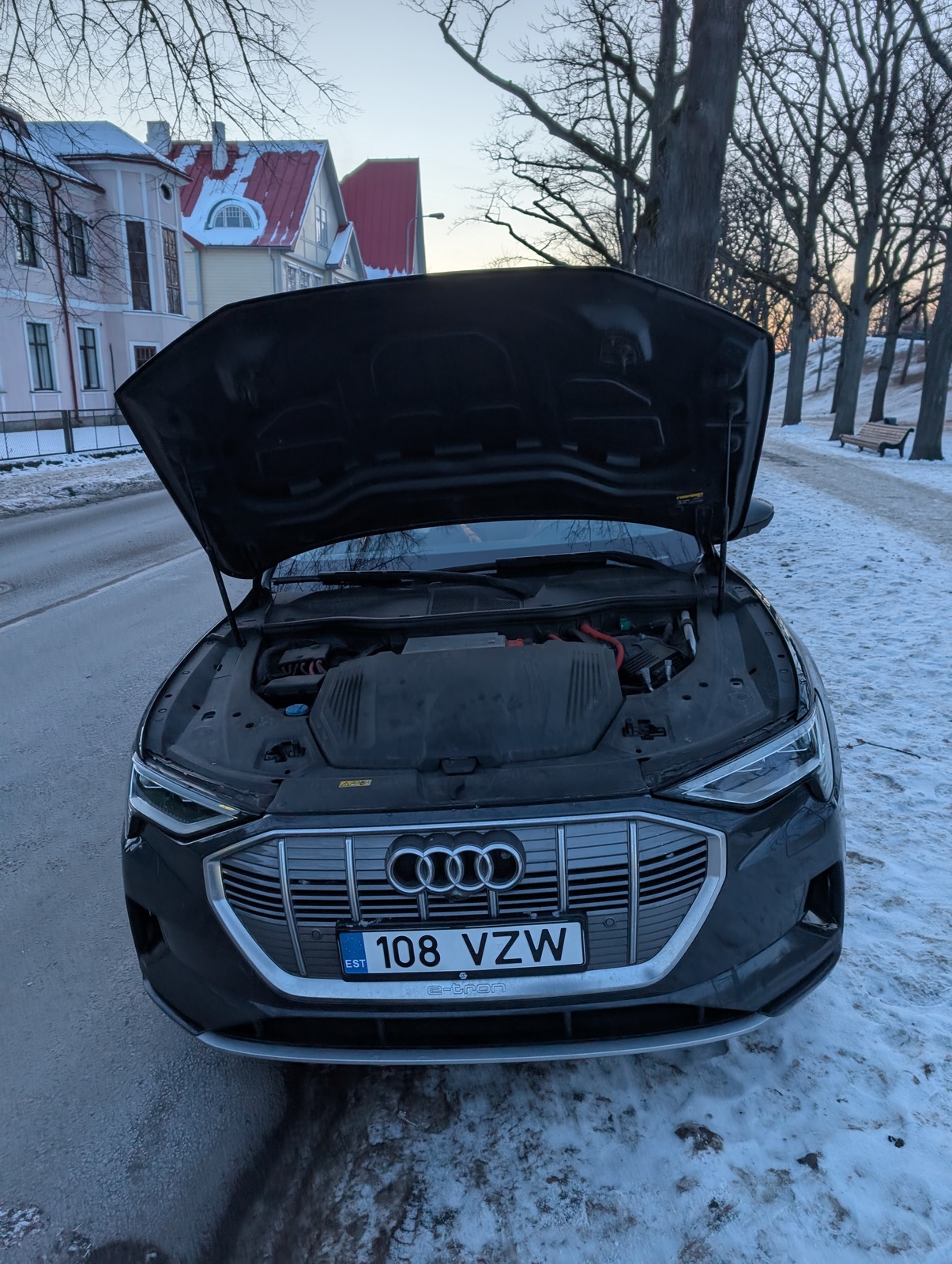 Audi e-tron 2020, photo 4/10