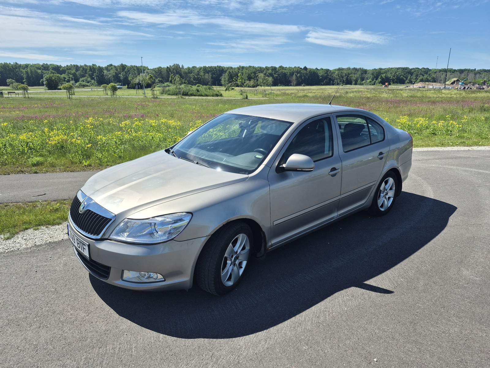 Škoda Octavia 2013, photo 7/39