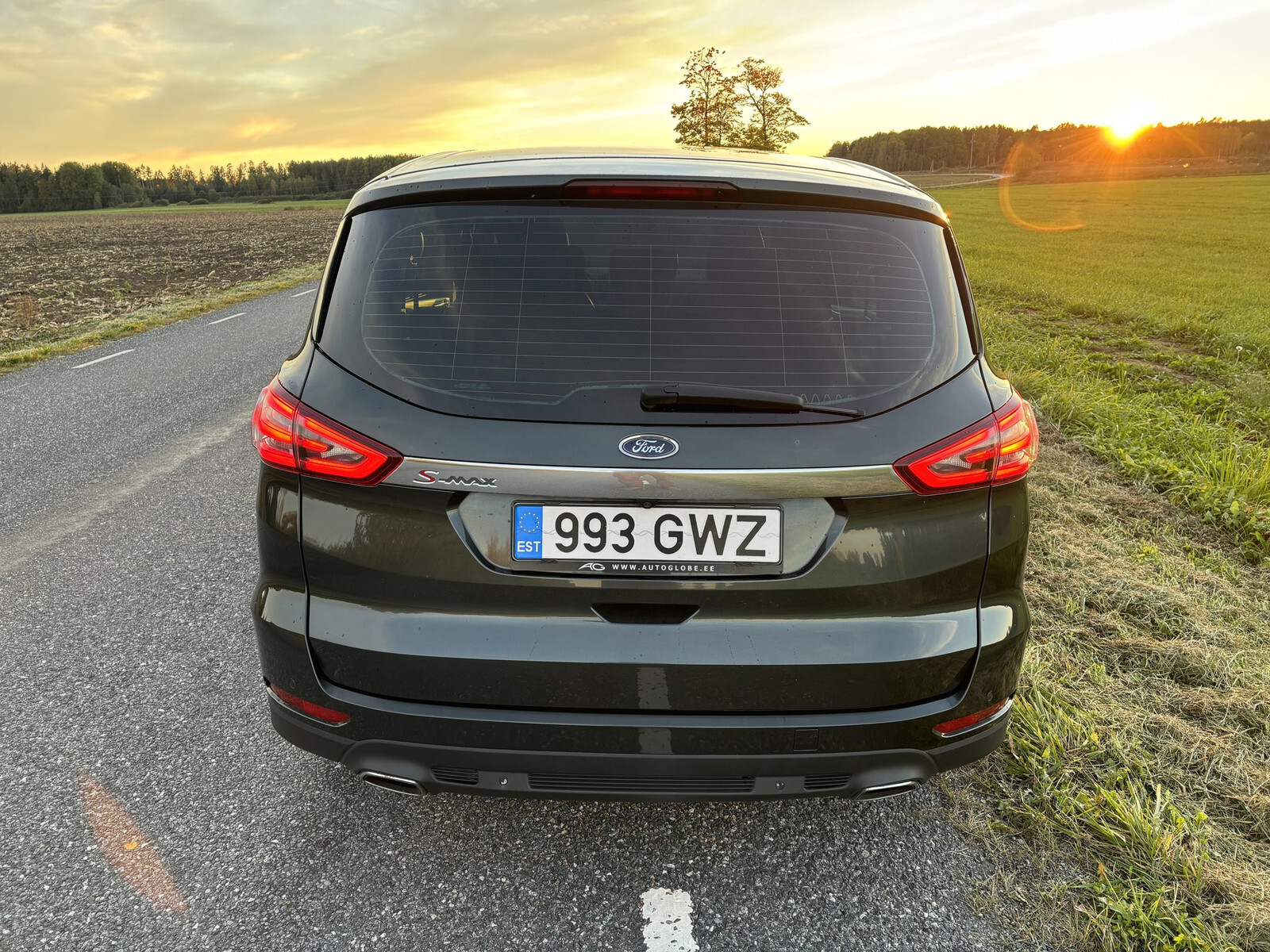 Ford S-Max 2016, photo 6/10