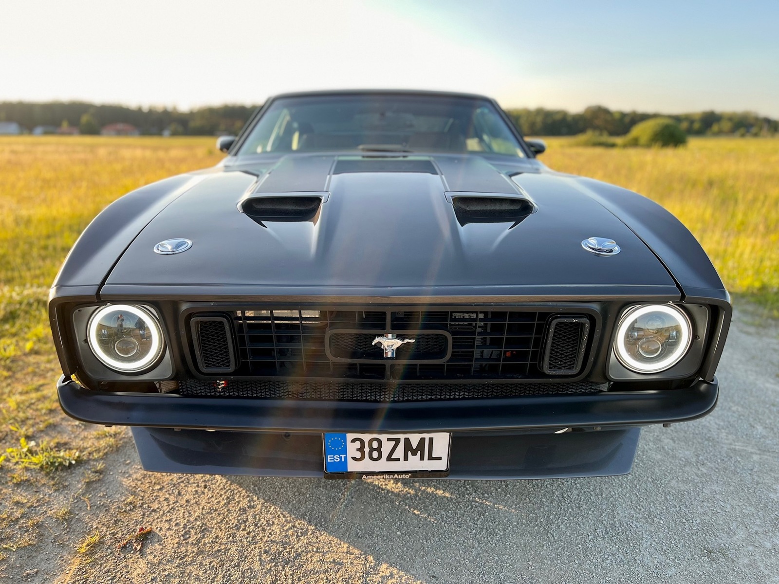 Ford Mustang 1973, photo 6/12