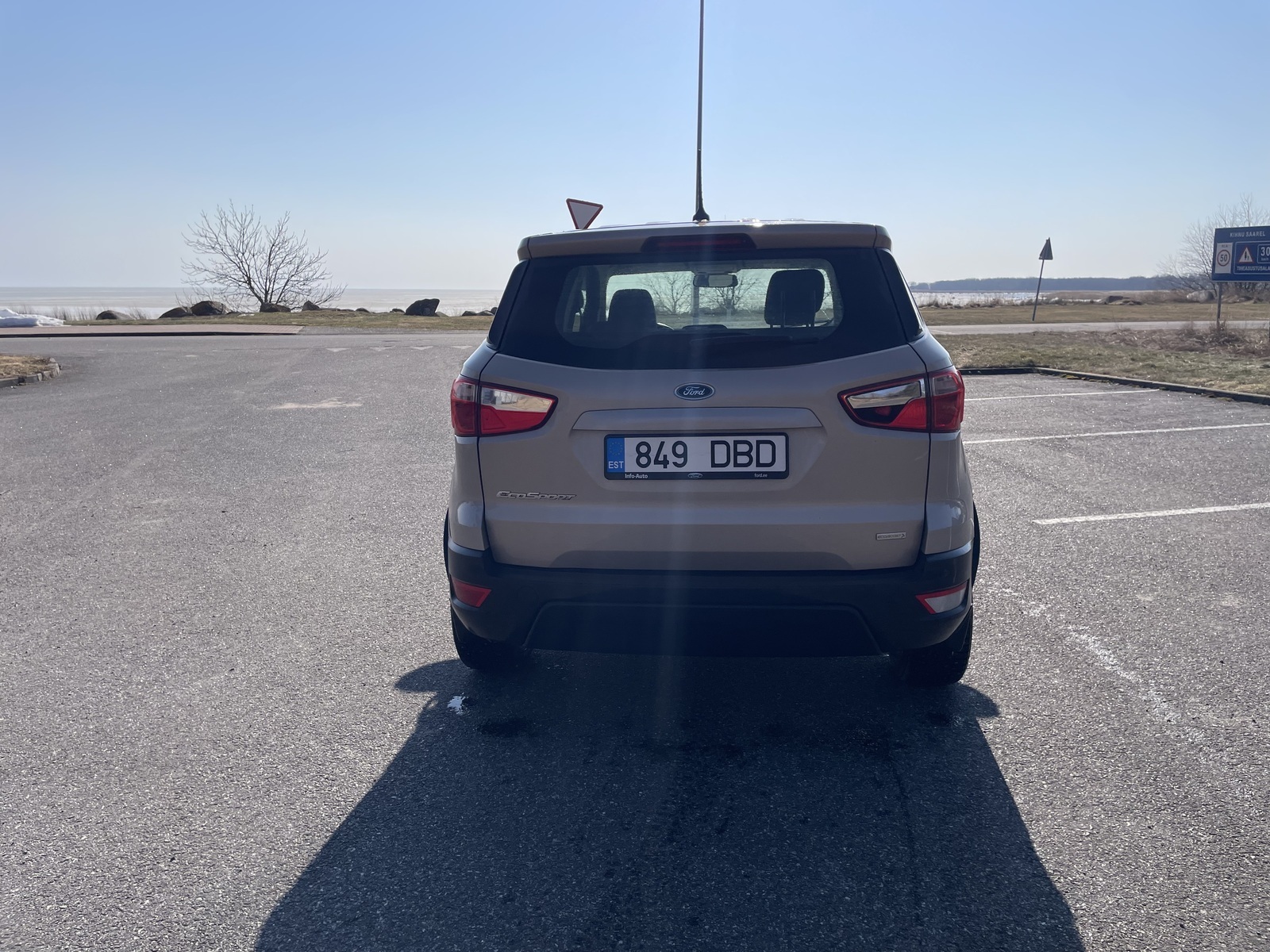 Ford EcoSport 2019, photo 4/9