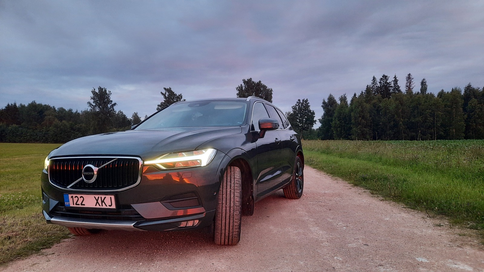 Volvo XC60 2019, photo 7/10