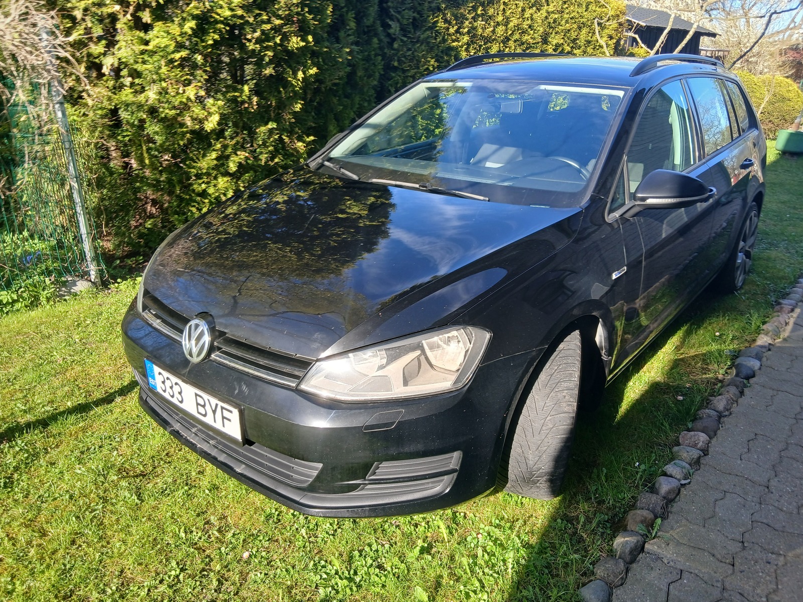 Volkswagen Golf 2015, photo 7/29