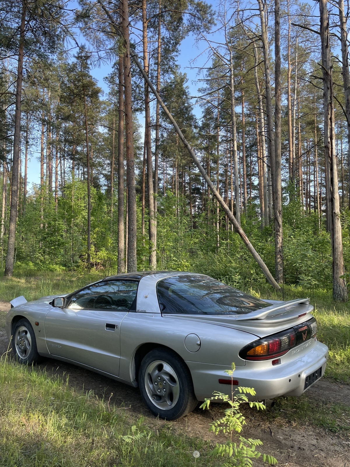 Pontiac Firebird 1996, kuva 2/44