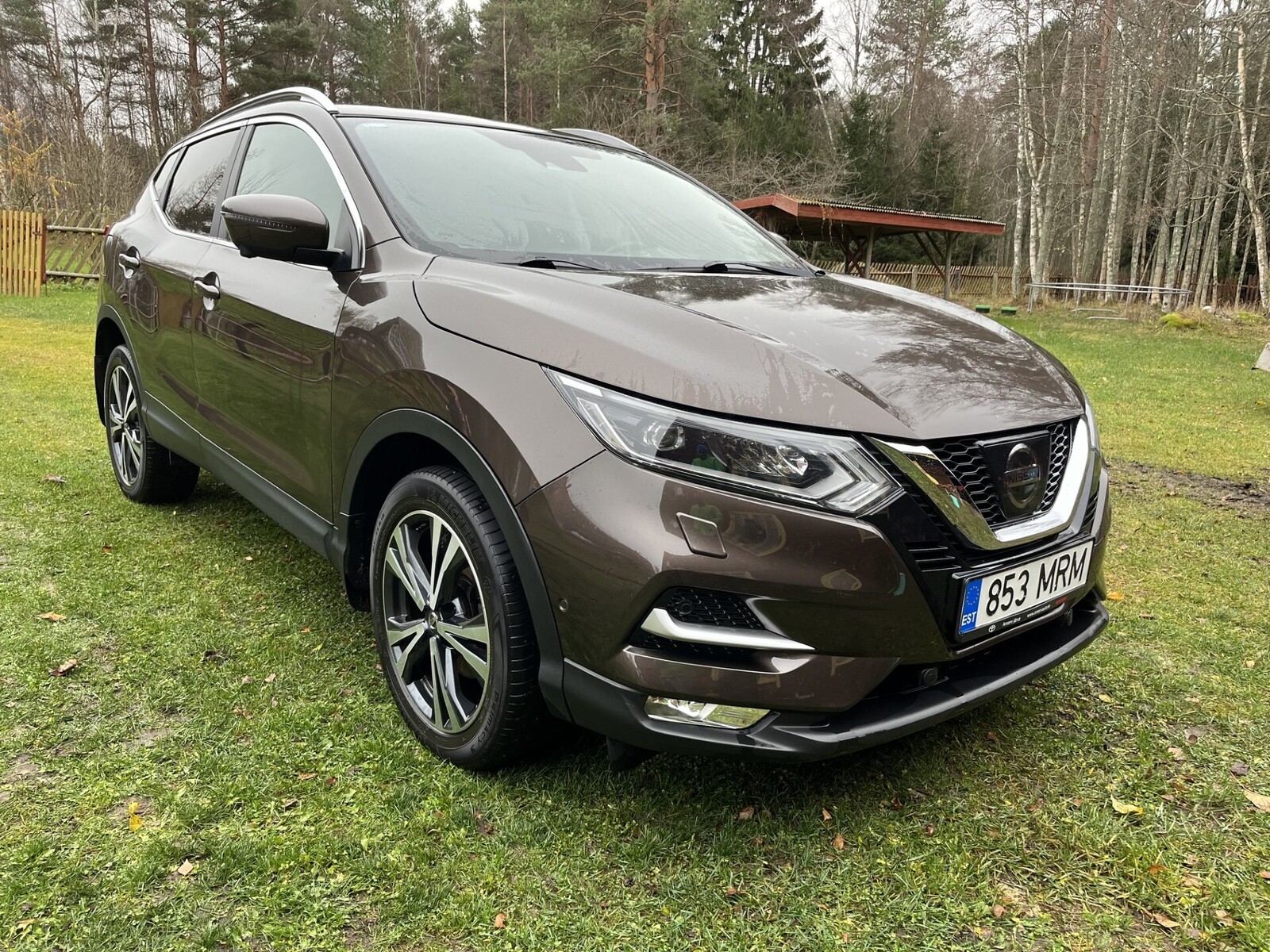 Nissan Qashqai 2017, photo 4/10