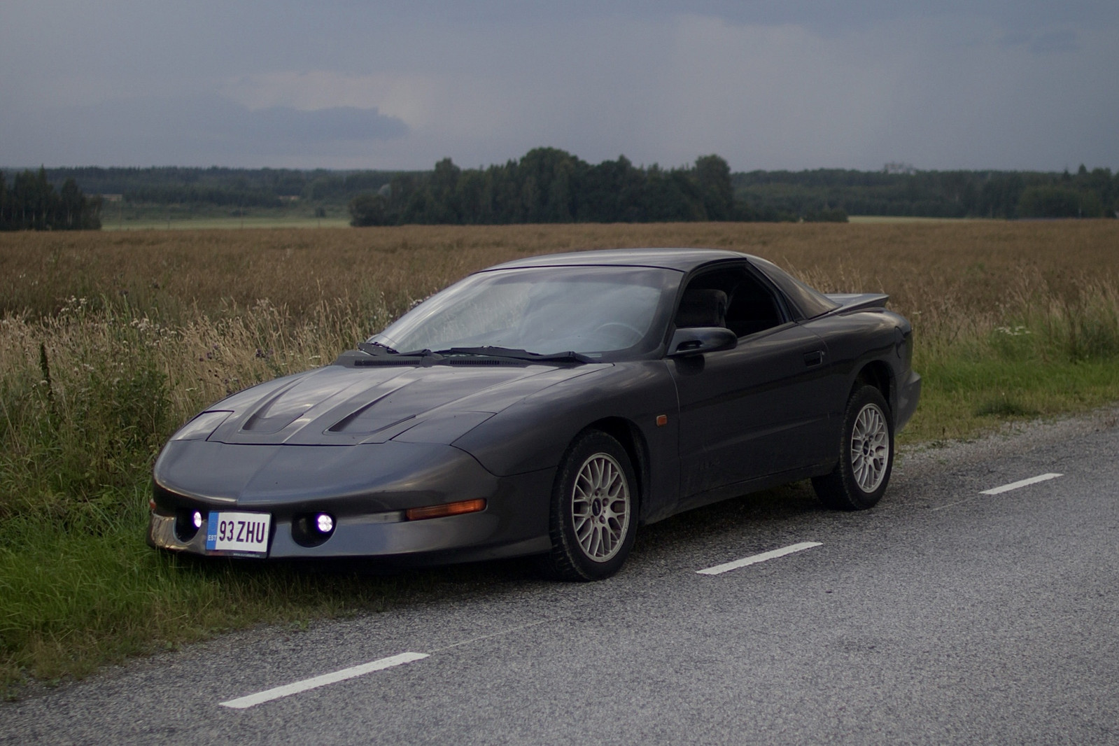 Pontiac Firebird 1993, photo 6/9