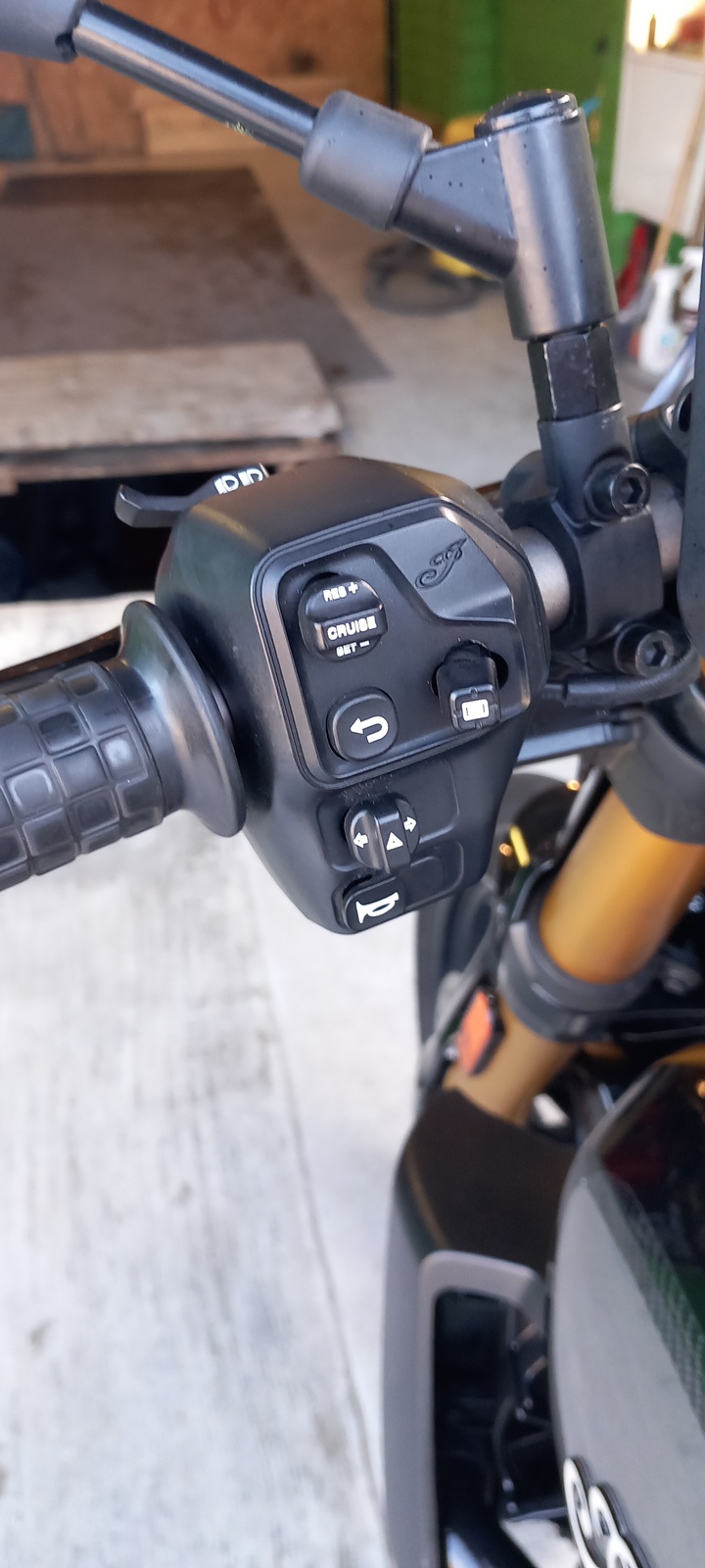 Indian FTR1200S 2019, kuva 8/8