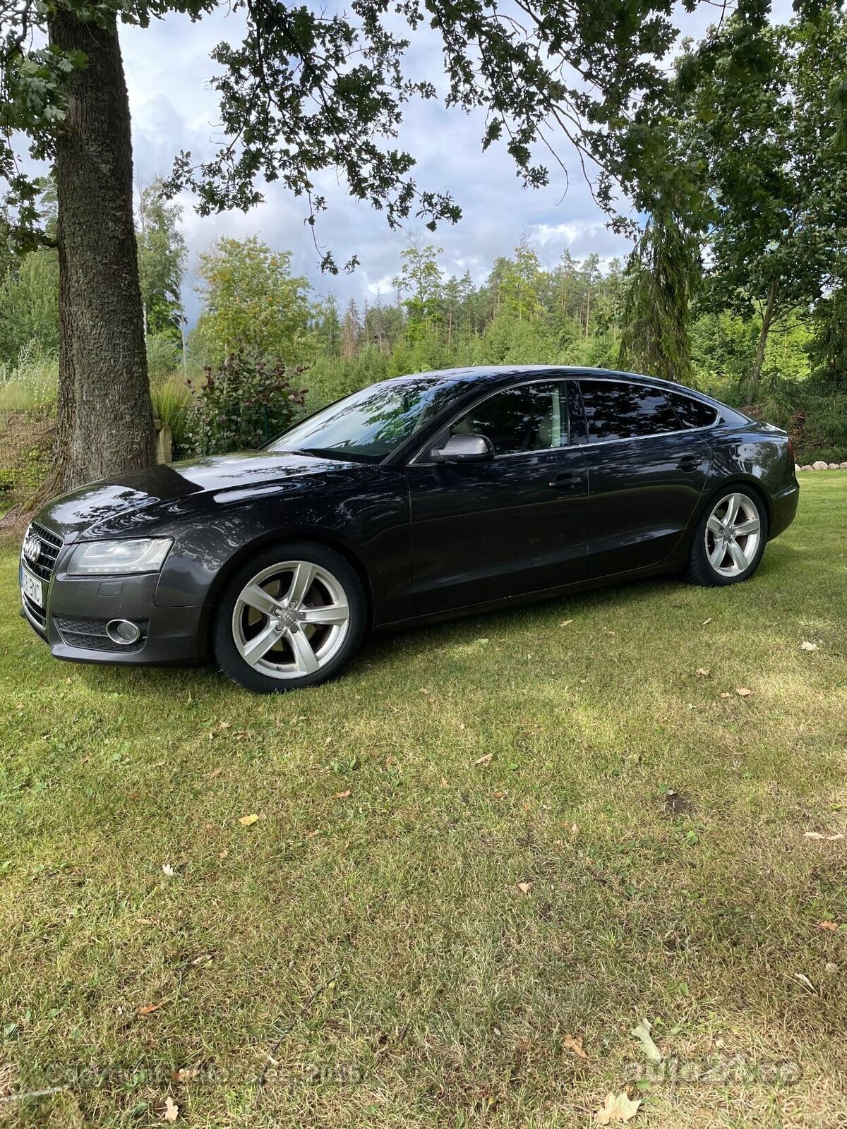Audi A5 2010, photo 3/12