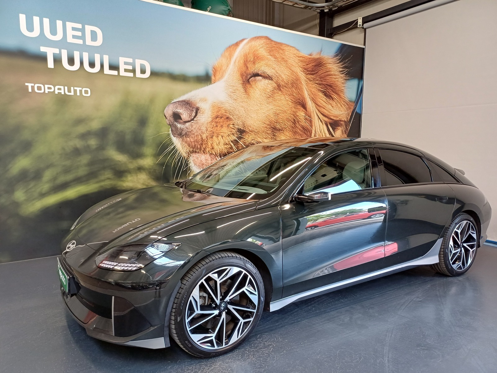 Hyundai Ioniq 6 Ultimate EL 81kW