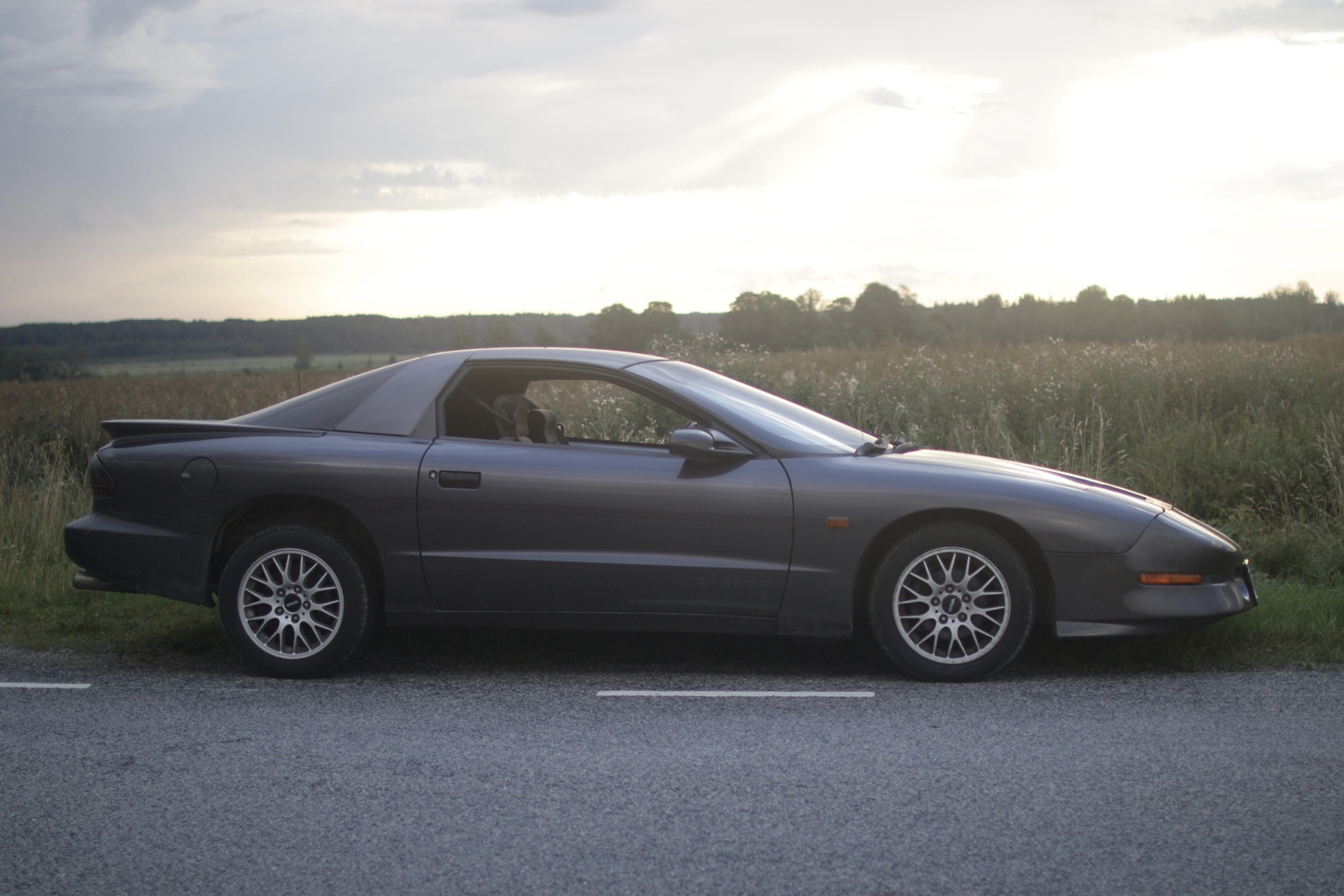 Pontiac Firebird 1993, photo 2/9