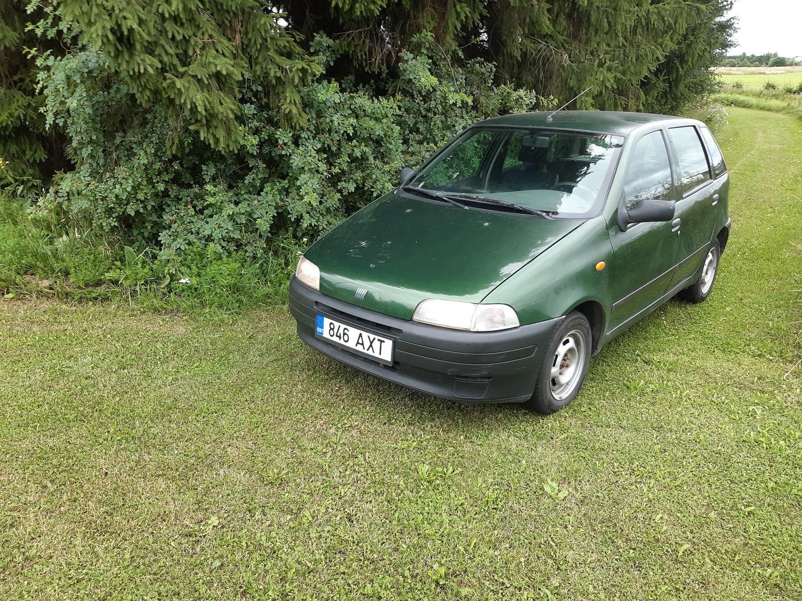 Fiat Punto