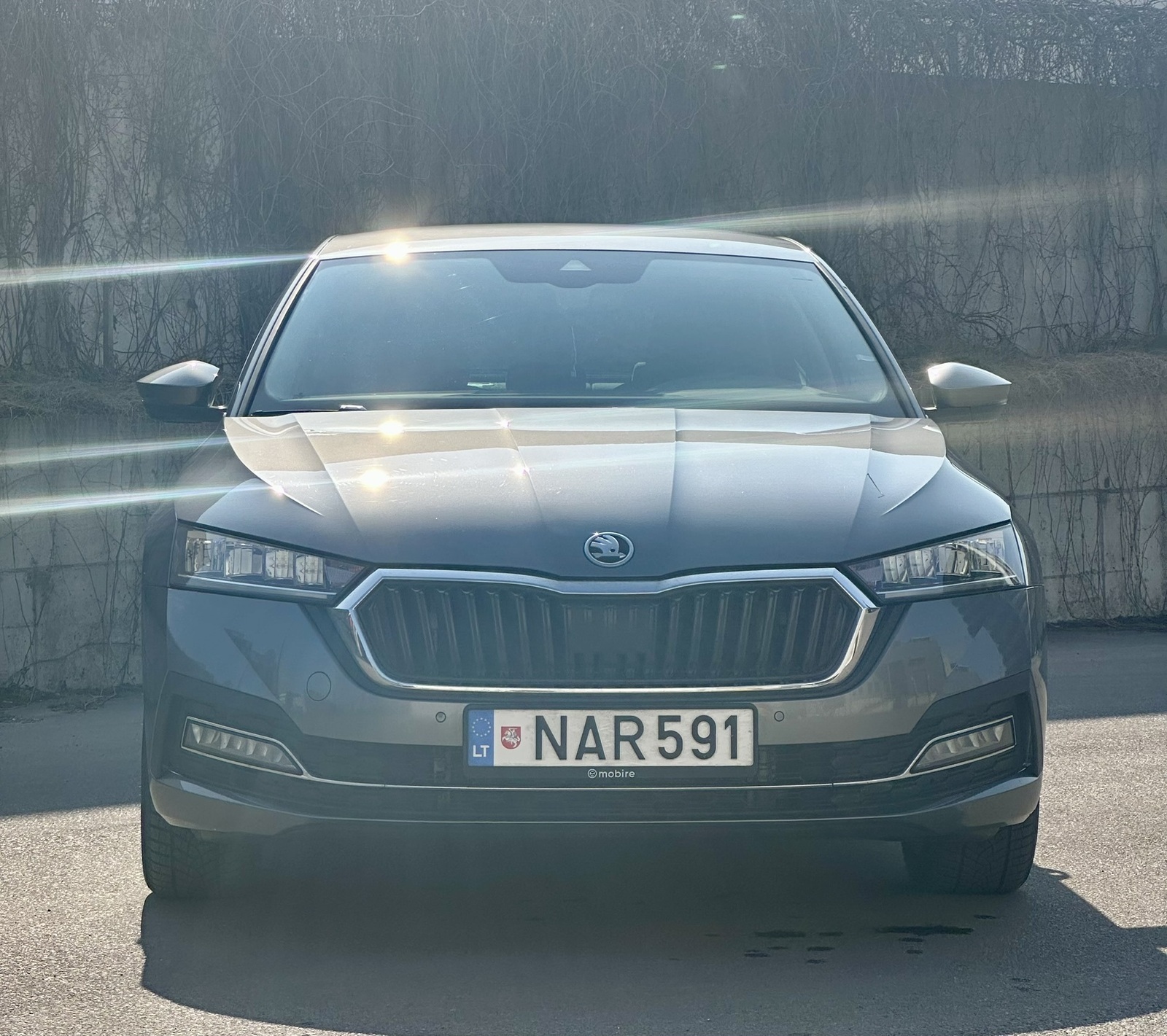 Škoda Octavia 2024, photo 5/18