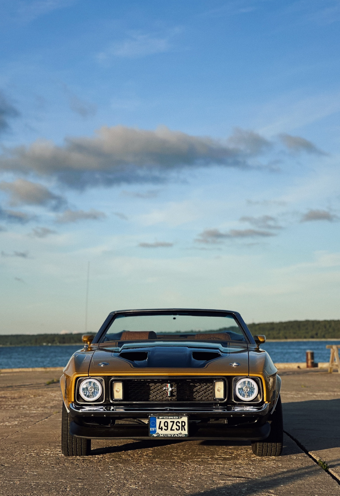Ford Mustang 1973, photo 6/19