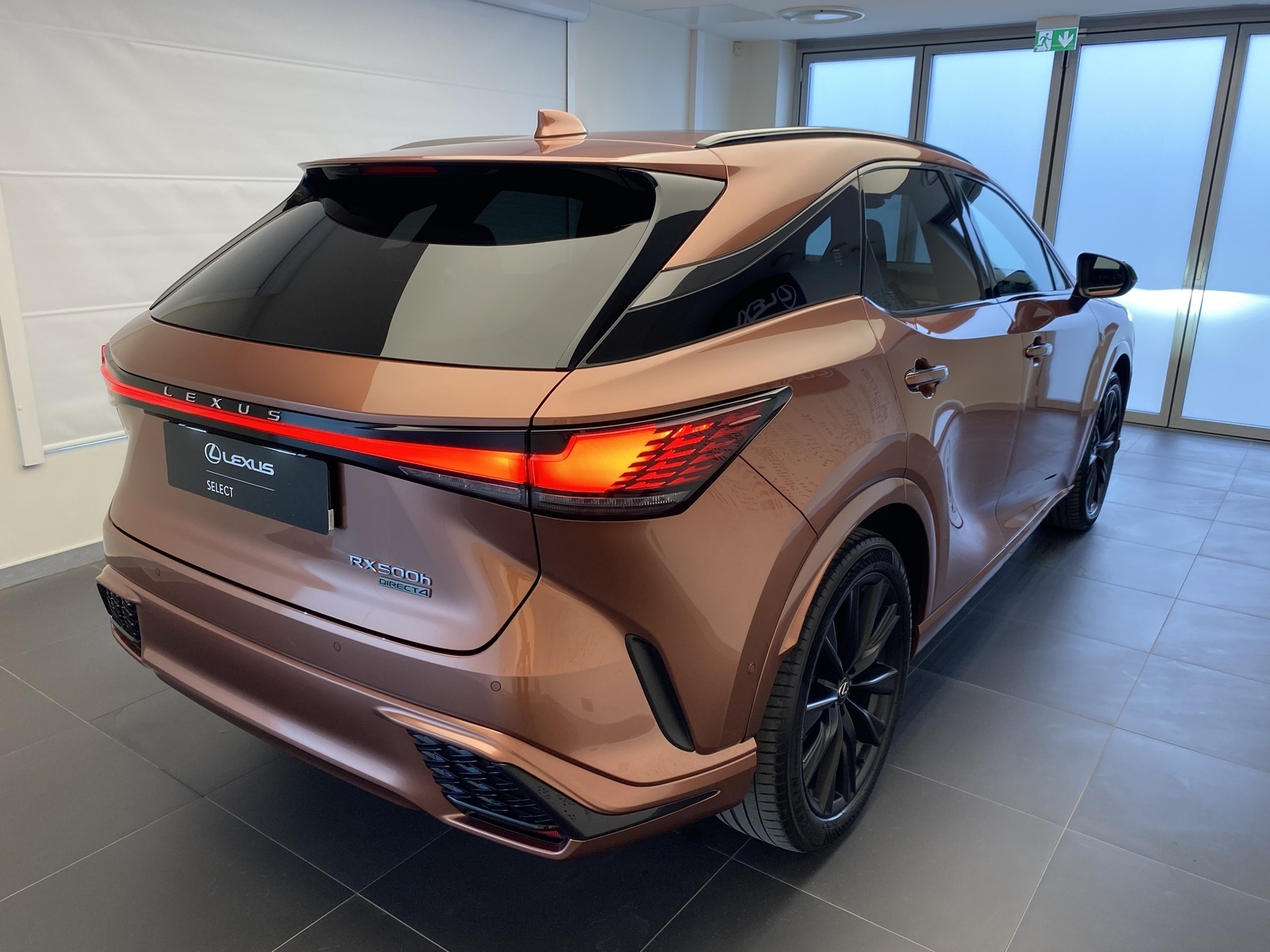 Lexus RX 500 2023, photo 6/19
