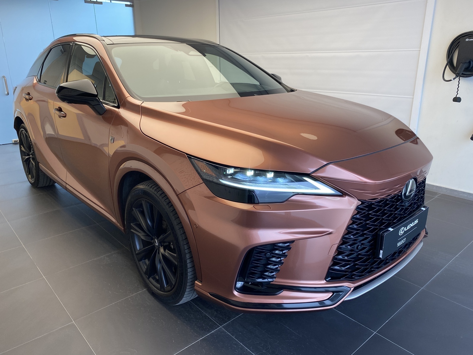 Lexus RX 500 2023, photo 5/19