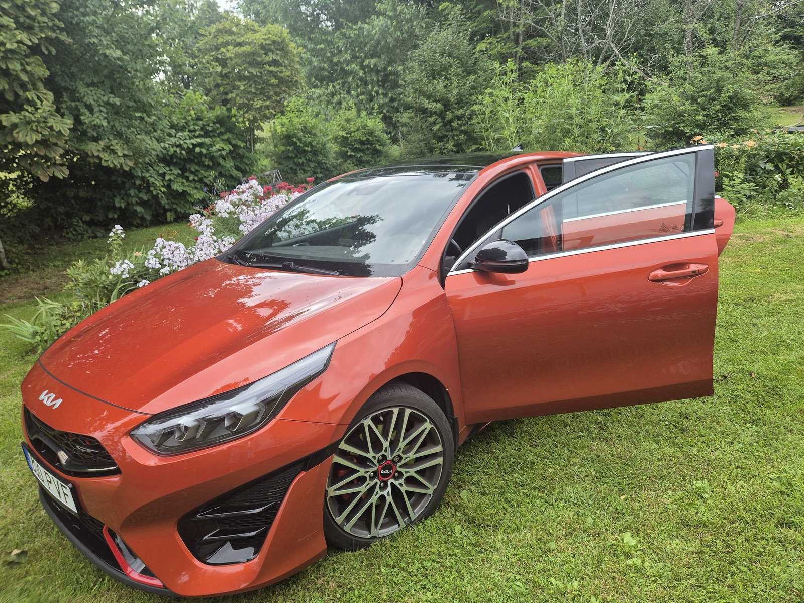 Kia pro cee'd / ProCeed 2022, photo 2/5