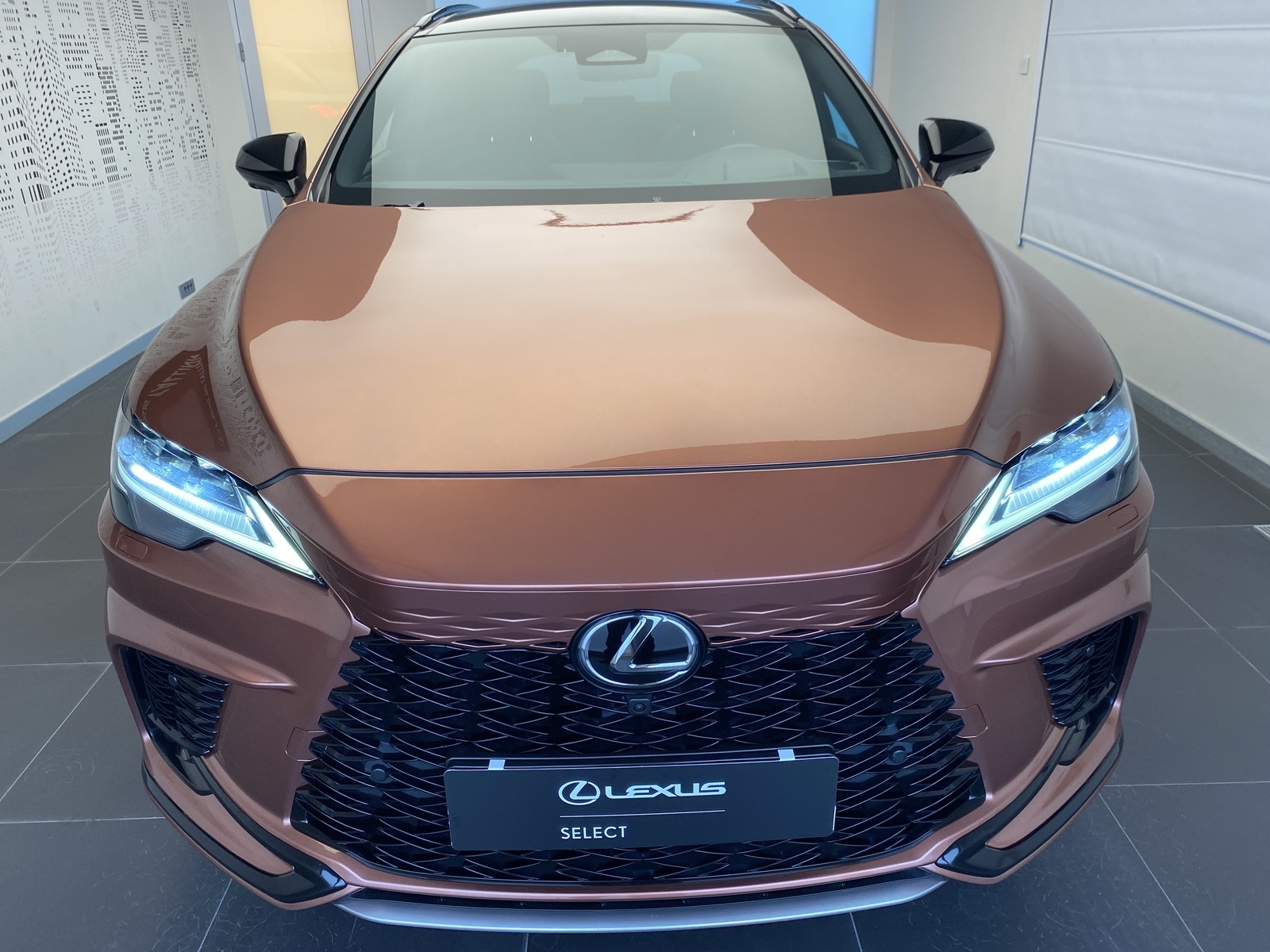 Lexus RX 500 2023, photo 4/19
