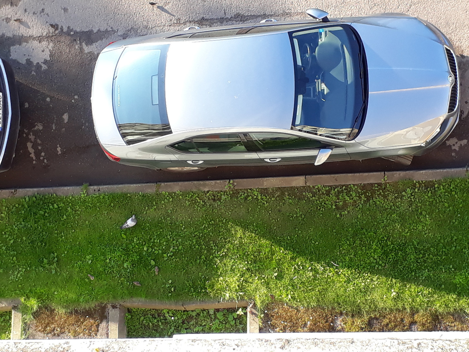 Škoda Octavia 2013, photo 4/6