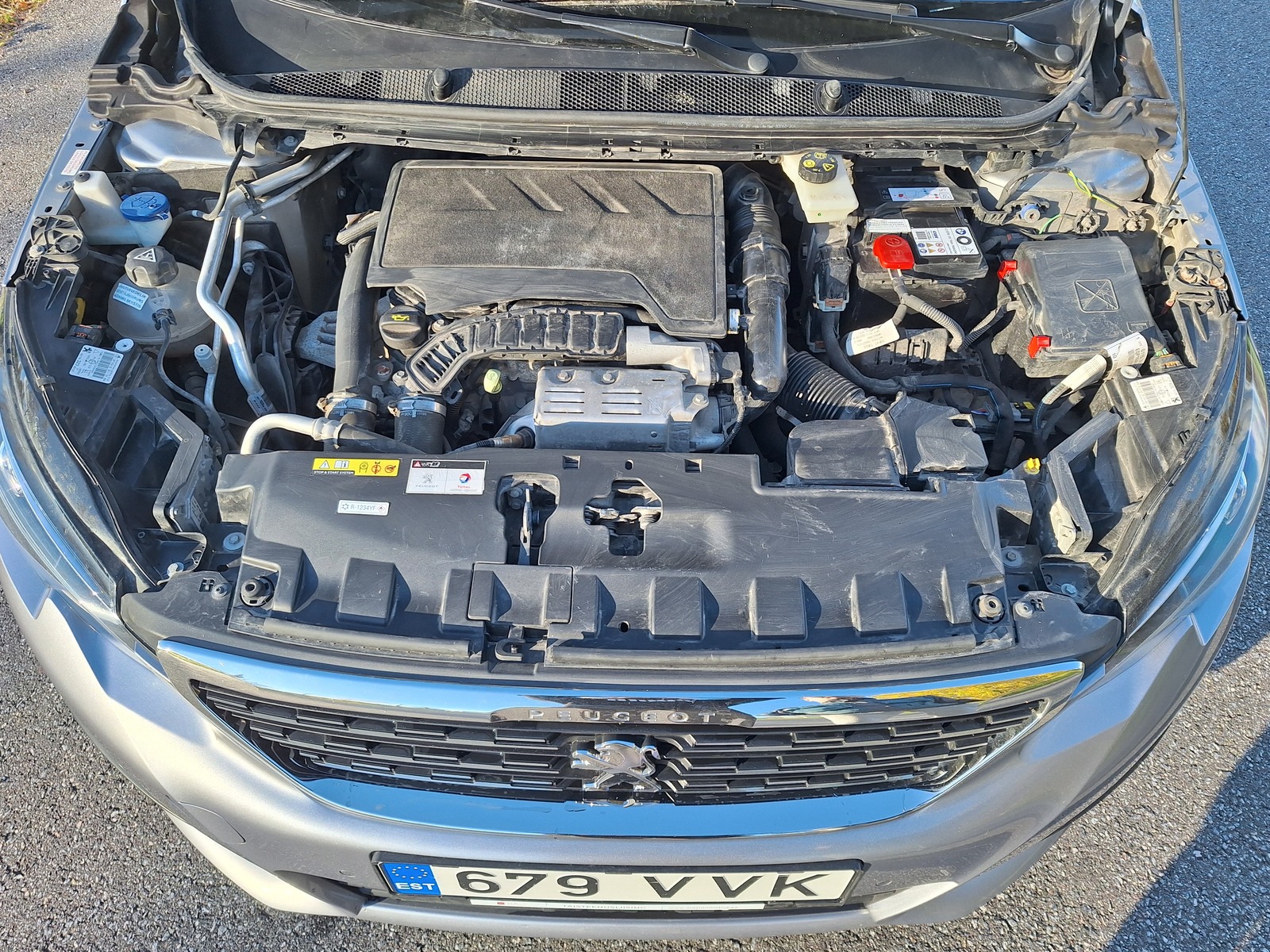Peugeot 308 2021, photo 5/12