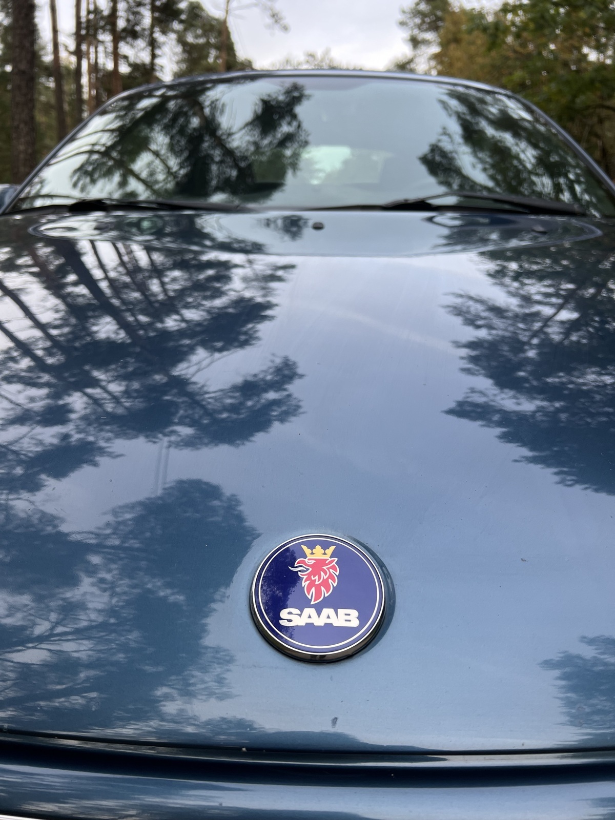 Saab 9-3 ARC 2006, photo 5/10