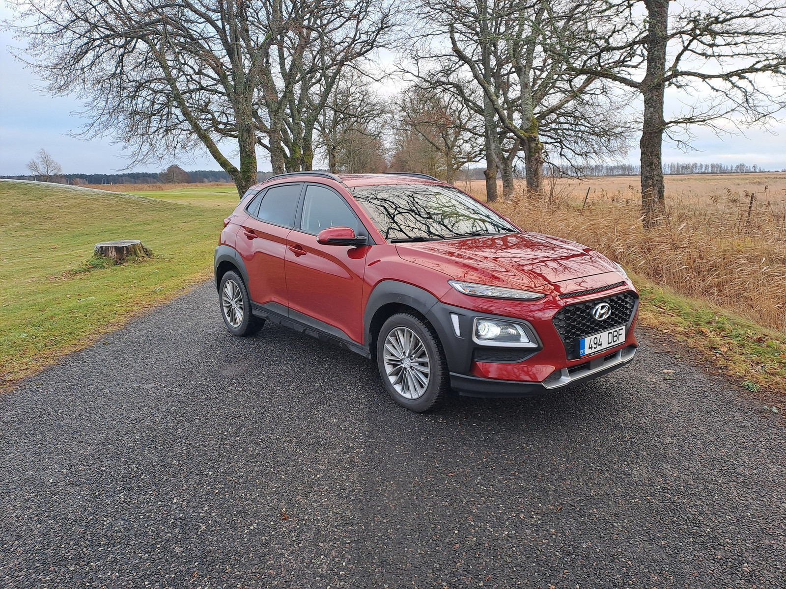 Hyundai Kona