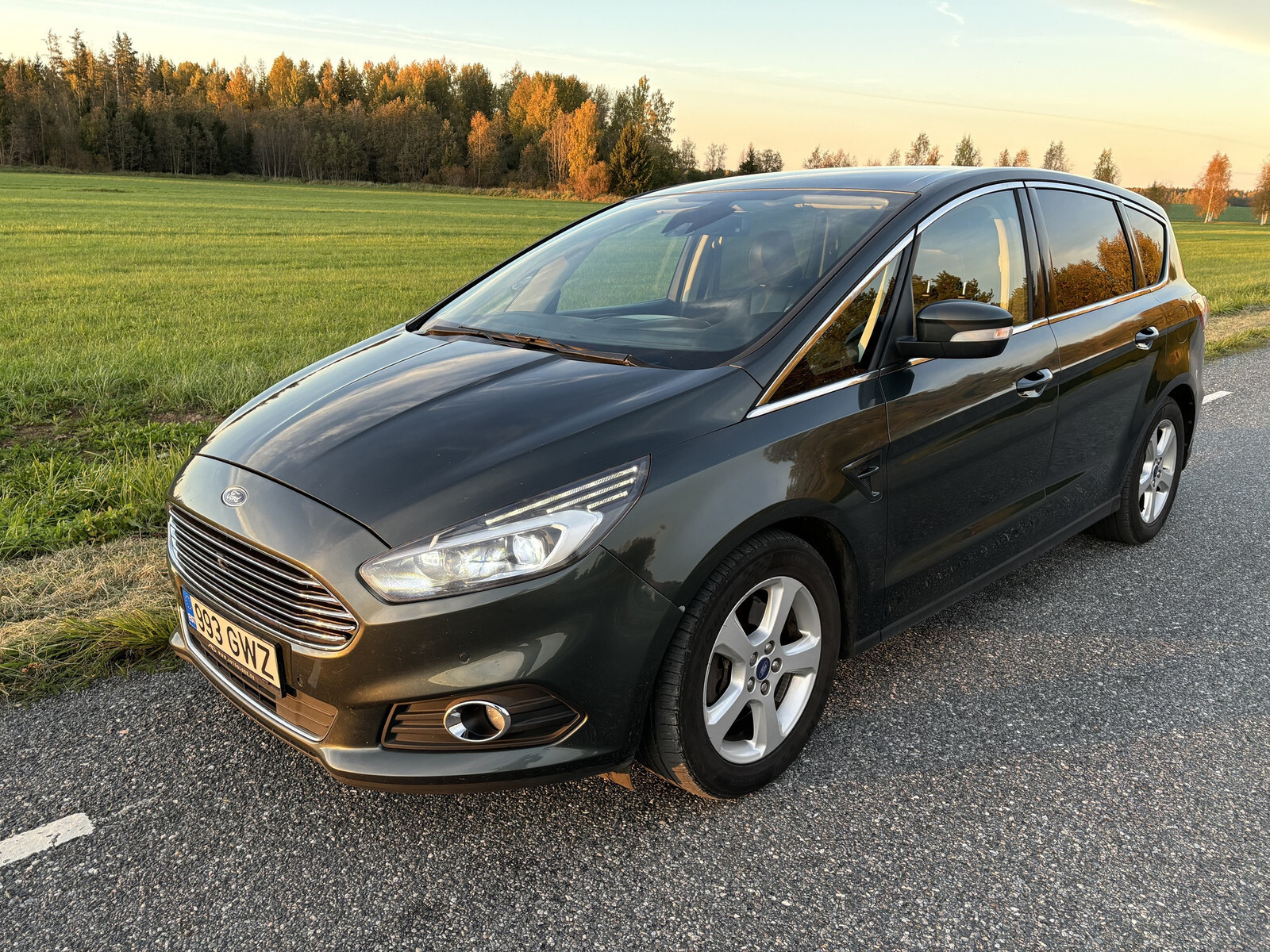 Ford S-Max 2016, photo 2/10