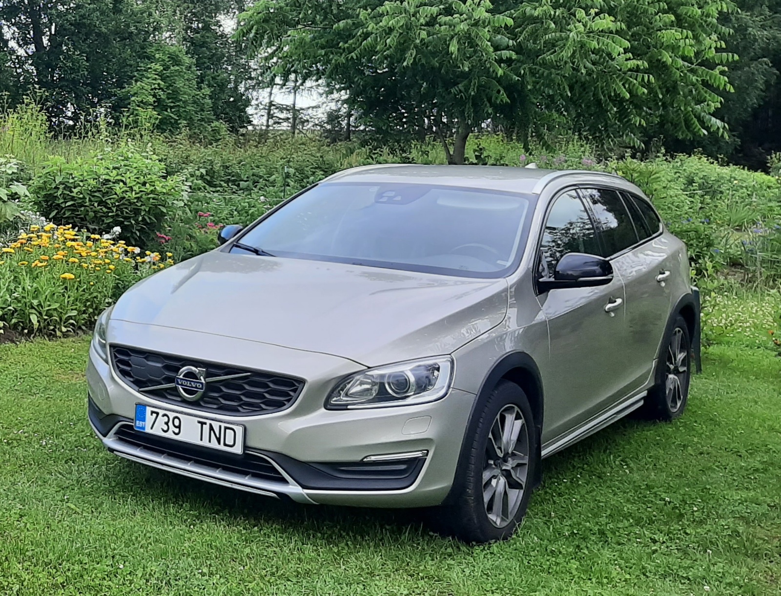 Volvo V60 Cross Country 2018, photo 4/17