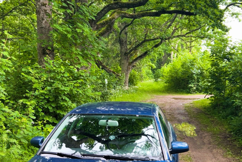 Audi A4, 2006, 2.0, 103 kW, diisel, manuaal, esivedu