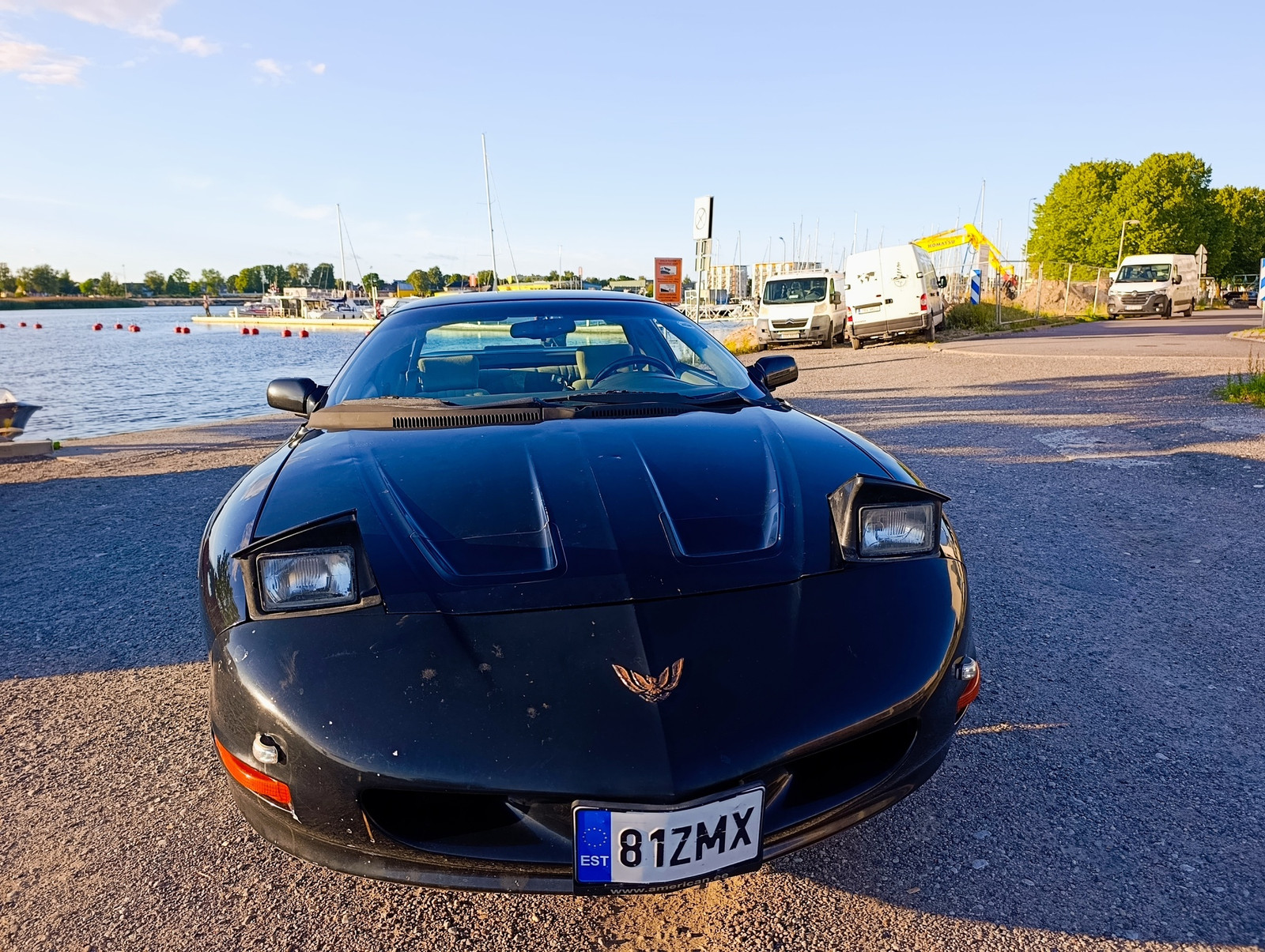 Pontiac Firebird 1994, photo 6/7
