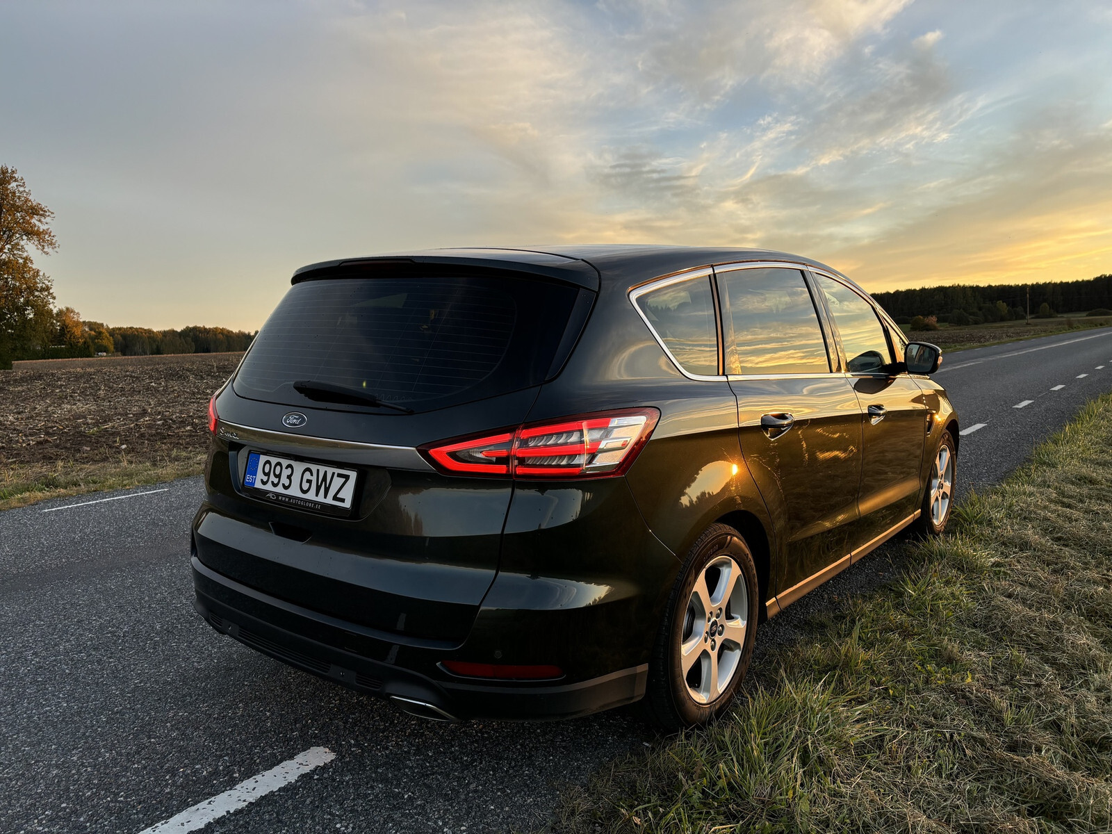 Ford S-Max 2016, photo 4/10