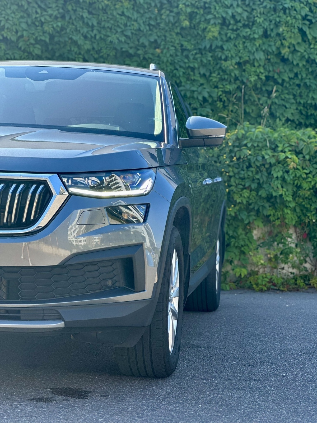Škoda Kodiaq 2024, photo 3/19