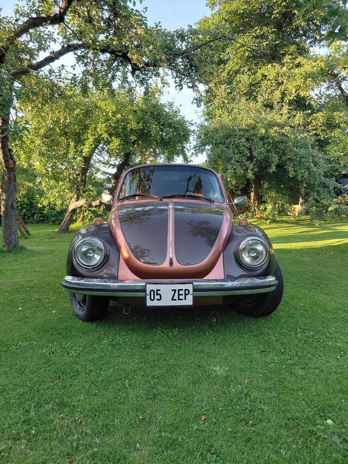 Volkswagen 1303