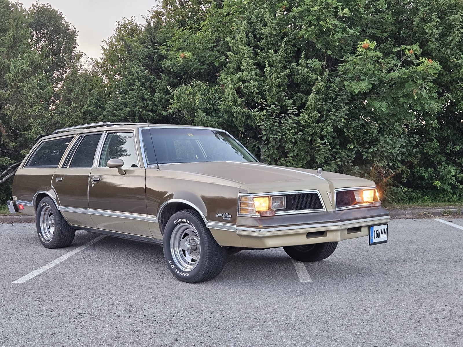 Pontiac GRAND LE MANS 1982, photo 3/60