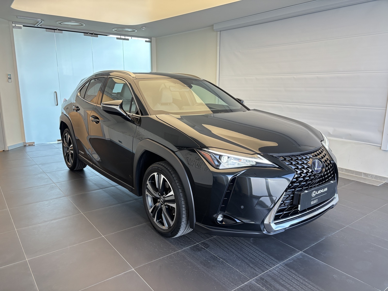 Lexus UX 250 2021, photo 5/18