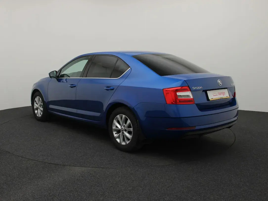Škoda Octavia 2018, photo 7/30